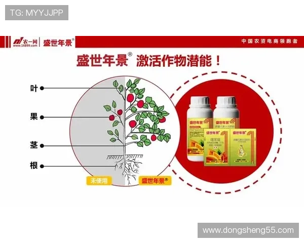 盛世平台：引领新时代商业发展的创新模式探讨